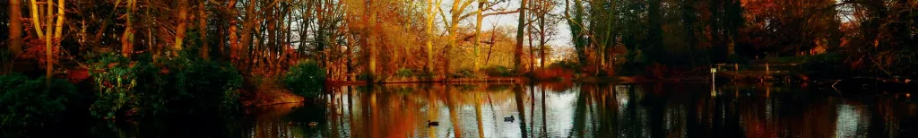 Mature dating site for singles over 50 in UK