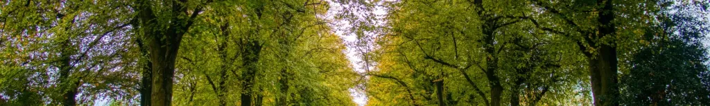 Lancashire