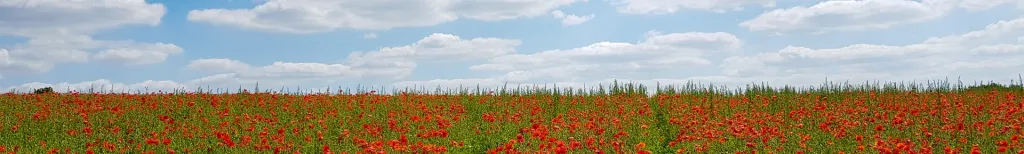 Northamptonshire