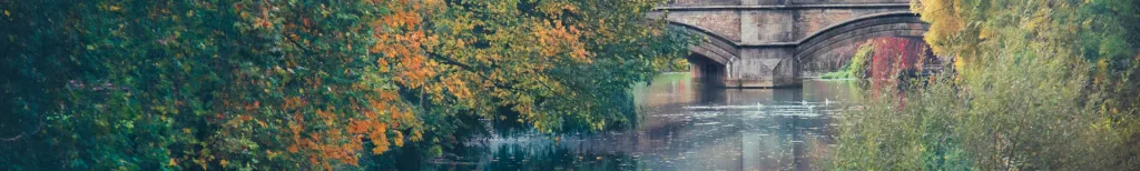 Mature dating site for singles over 50 in UK