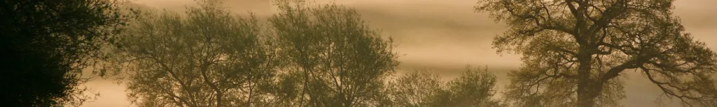 Mature dating site for singles over 50 in UK